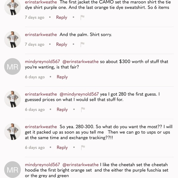 BEWARE OF @ERINSTARKWEATHE or @ERINSHANGER - Picture 2 of 11